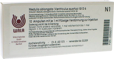 MEDULLA OBLONGATA Ventriculus quartus GL D 6 Amp.