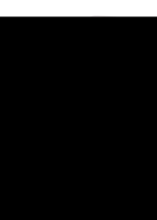 ALLIUM SATIVUM D 12 Dilution