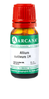 ALLIUM SATIVUM LM 18 Dilution