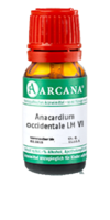 ANACARDIUM OCCIDENTALE LM 6 Dilution