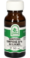 KAMPFERÖL Camphora 20% in Olivenöl